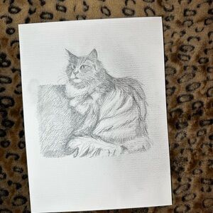 Original Cat Pencil Drawing – 9x12” Signed Artwork